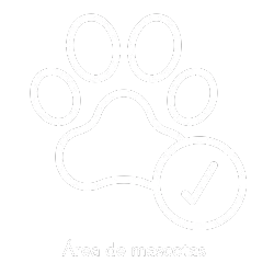 Pet Friendly Amenidades Nuevo Conocer Pachuca Bostiich - Venta de terrenos en Pachuca